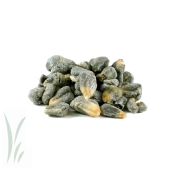 Frozen Huitlacoche (Corn Smut) / 2lb